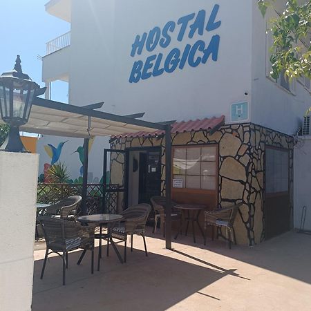 Hostal Belgica Palmanova Екстериор снимка