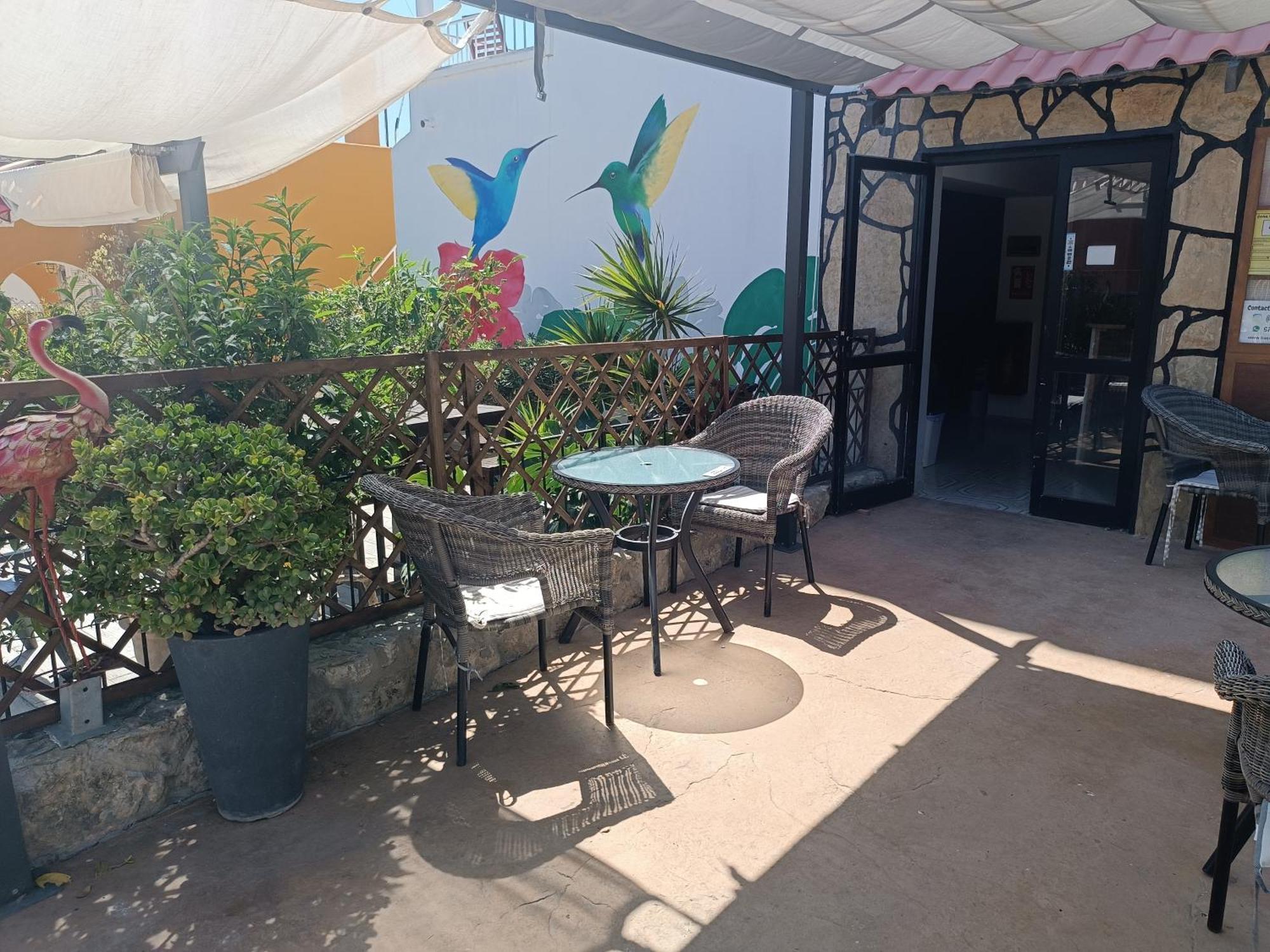 Hostal Belgica Palmanova Екстериор снимка